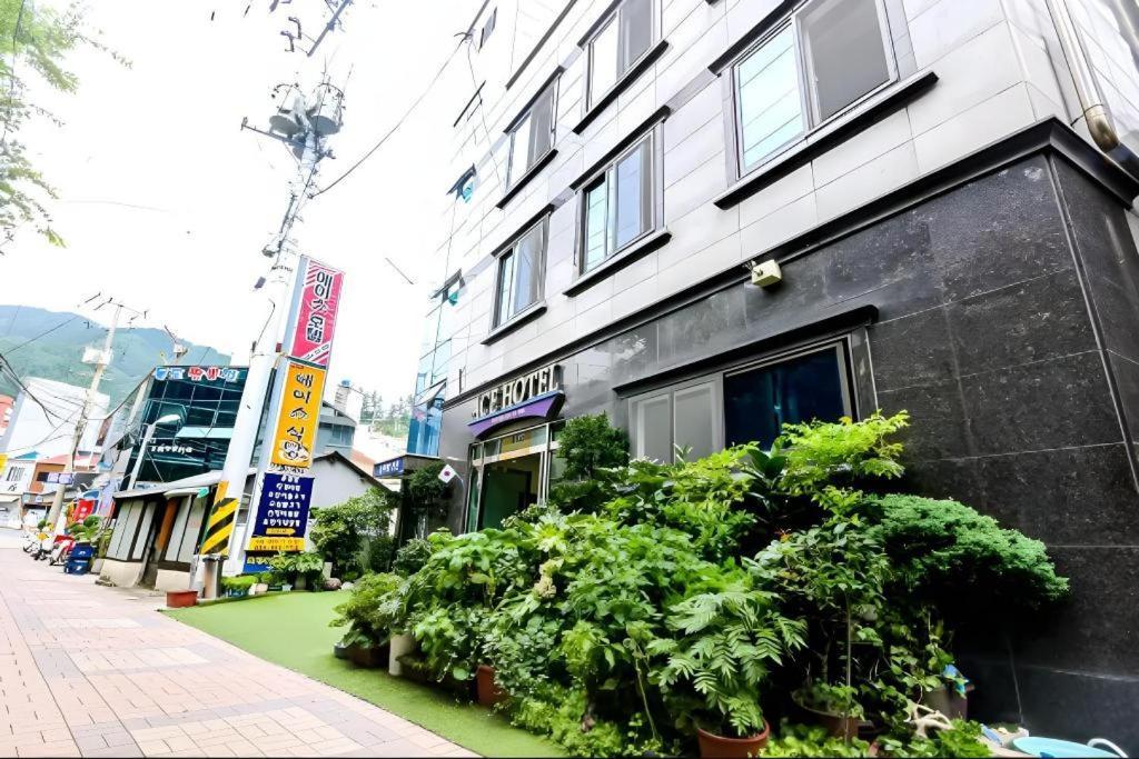 Ace Hotel Ulleungdo Exterior foto